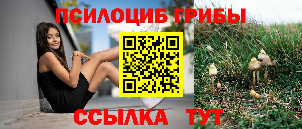 Псилоцибиновые грибы прущие грибы  Вход с VPN  Буйнакск 