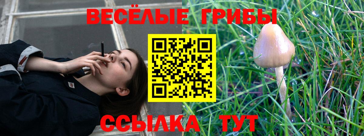 Галлюциногенные грибы Magic Shrooms Буйнакск